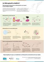 Grafische Darstellung möglicher Auswirkungen von Mikroplastik in der Umwelt.