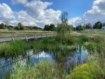 renaturalized urban area in Krakow: Bridge over wetland