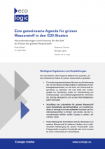 Erste Zeite des Policy Briefs "Eine gemeinsame Agenda für grünen Wasserstoff in den G20-Staaten" mit den wichtigsten Erkenntnissen und Empfehlungen