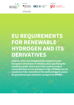 Cover of the report "EU requirements for renewable hydrogen and its derivates"