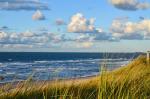 Scenic view of a beach with waves gently rolling onto the shore under a vivid blue sky dotted with white clouds. The foreground features tall beach grass waving in the breeze, framing the sandy beach below. In the distance, two cargo ships are visible on the horizon, traversing the expansive sea.