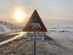 A triangular road sign with a white polar bear symbol warns of polar bears in the area. Below it, a rectangular sign reads "Gjelder hele Svalbard" ("Applies to all of Svalbard"). The scene shows a snow-covered Arctic landscape, a road curving into the distance, and the sun low in the sky, casting long shadows and creating a dramatic glow.