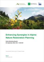 report cover entitled "Enhancing Synergies in Alpine Nature Restoration Planning Online Workshop Results"