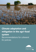 Report cover titled “Climate adaptation and mitigation in the agri-food system: Recommendations for coherent EU policies,” featuring a flooded agricultural field with damaged crops, highlighting climate impacts on farming and EU climate policy.
