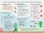 Infographic on climate-ready marine protected areas (MPAs) outlining research questions, transdisciplinary methodology, analytical dimensions, and 11 policy recommendations for climate adaptation, governance, and sustainable ocean management.
