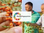 Composite image showing sea buckthorn berries and farmers examining crops, with the text “Marktinfogespräche” overlaid.