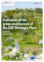 Guidelines report titled “Evaluation of the green architecture of the CAP Strategic Plans” over a landscape of flowering orchards and rolling green hills.