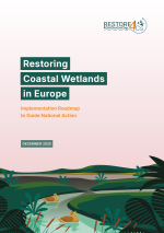 Report cover titled “Restoring Coastal Wetlands in Europe – Implementation Roadmap to Guide National Action,” with an illustrated wetland landscape featuring water, plants, and birds.